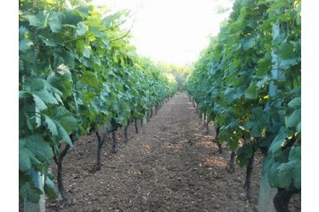 Hrvaška Privát Kaštel Novi, Eksterier